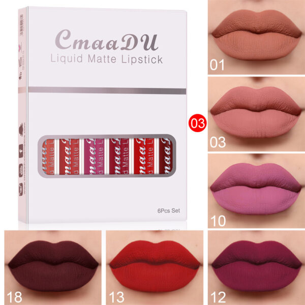 Matte Non-stick Cup Waterproof Lipstick Long Lasting Lip Gloss - Image 6